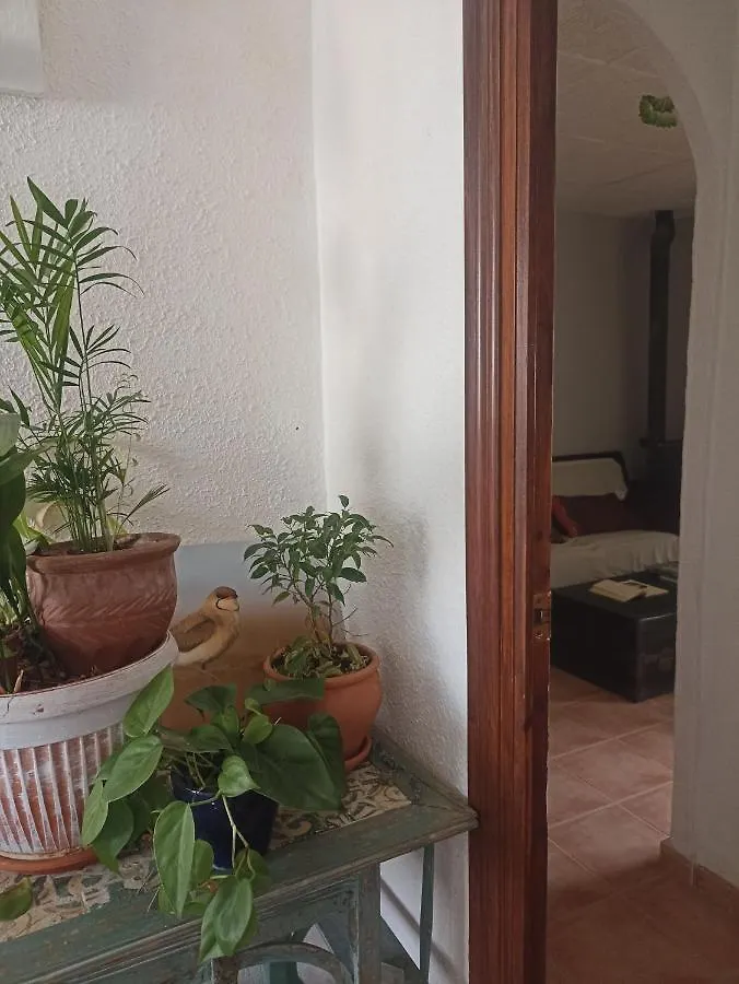 Homestay Can Ventura Deltebre